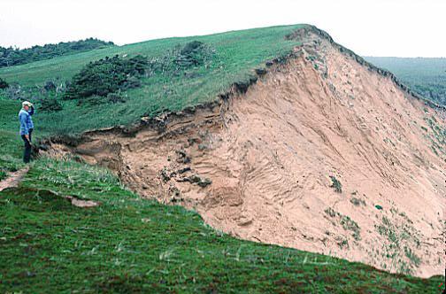 Glaciofluvial Deposit Exposed! Glaciofluvial Deposit Exposed!