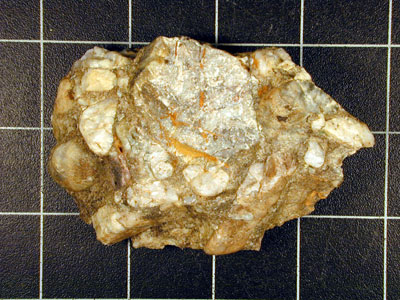 Examples of this type of sedimentary rock include conglomerate and sandstone 