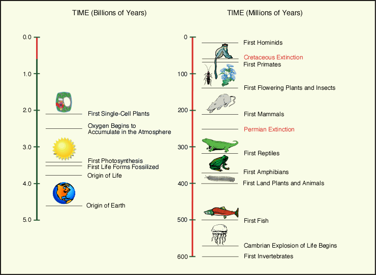 tree of life evolution. life occurred known as the