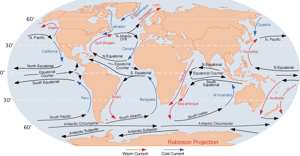 http://www.physicalgeography.net/fundamentals/images/oceancurrents.gif