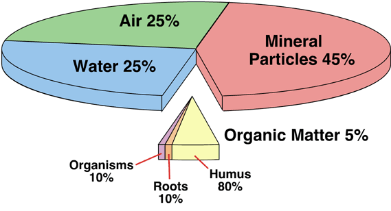 The formation of a soil is influenced by organisms, climate, topography, 