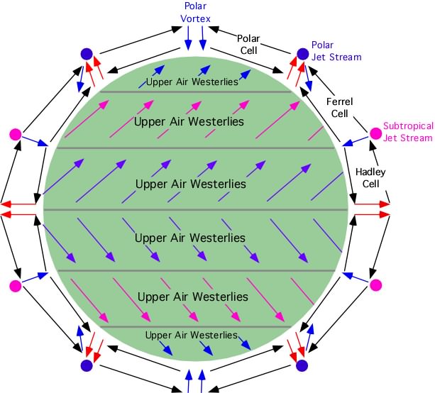 Ferrel cell  Atmospheric Circulation, Global Wind Patterns & Jet