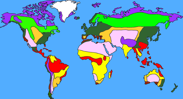 which terrestrial biome is called the breadbasket of the world